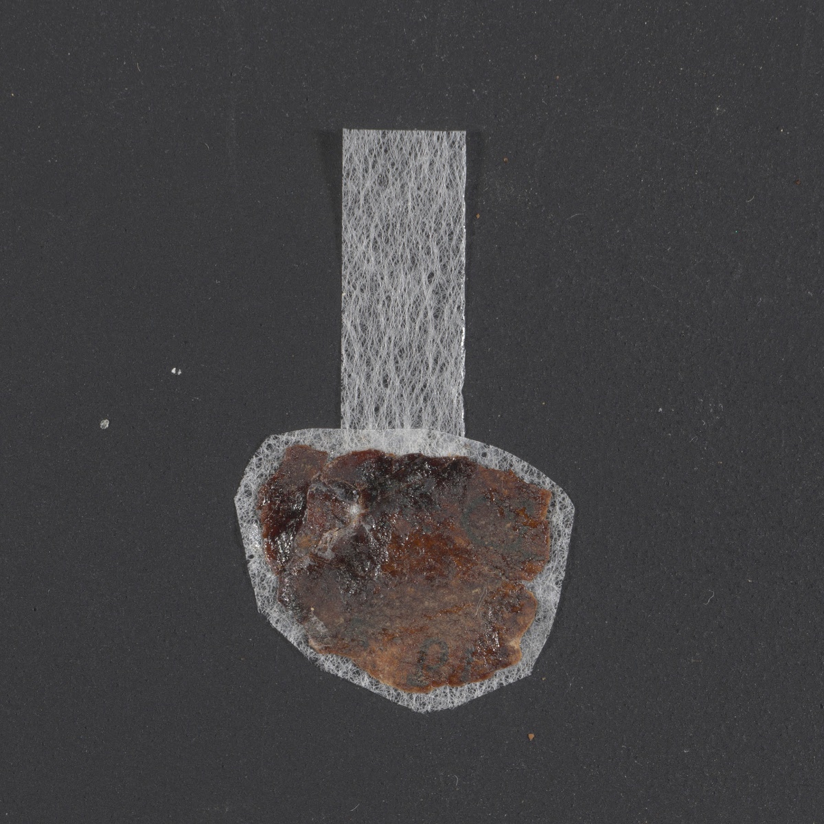 4Q LXXNumbers (Scan 5) showing Numbers 4:13 from Late 1st Century BC – Mid-1st Century AD found in Qumran, Cave 4, currently housed at Rockefeller Museum, Jerusalem