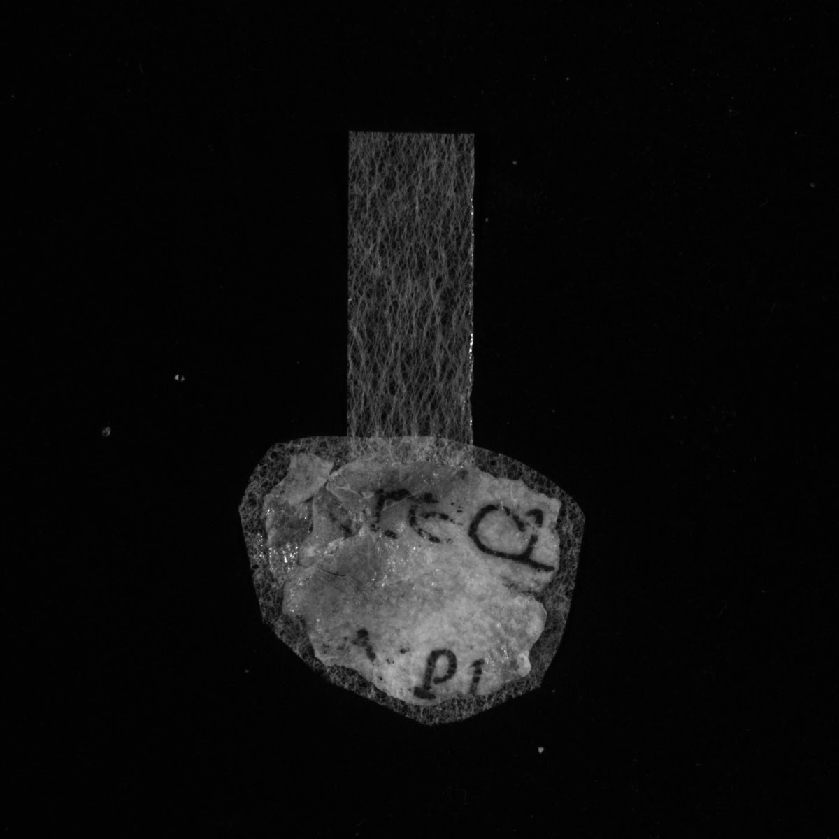 4Q LXXNumbers (Scan 6) showing Numbers 4:13 from Late 1st Century BC – Mid-1st Century AD found in Qumran, Cave 4, currently housed at Rockefeller Museum, Jerusalem