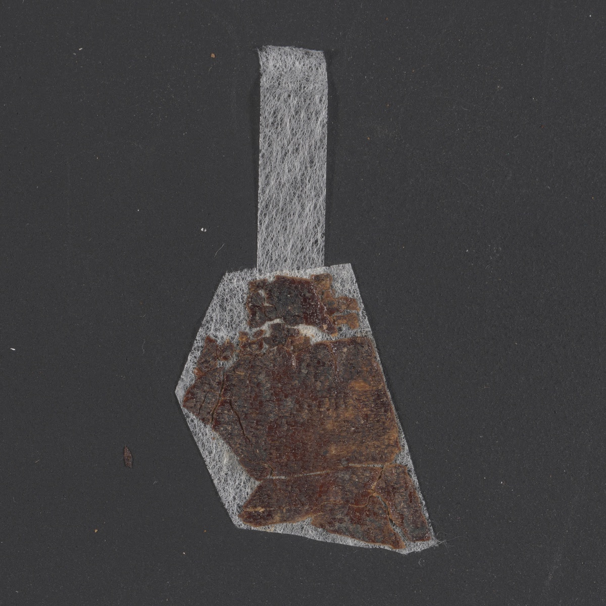 4Q LXXNumbers (Scan 5) showing Numbers 3:40 from Late 1st Century BC – Mid-1st Century AD found in Qumran, Cave 4, currently housed at Rockefeller Museum, Jerusalem