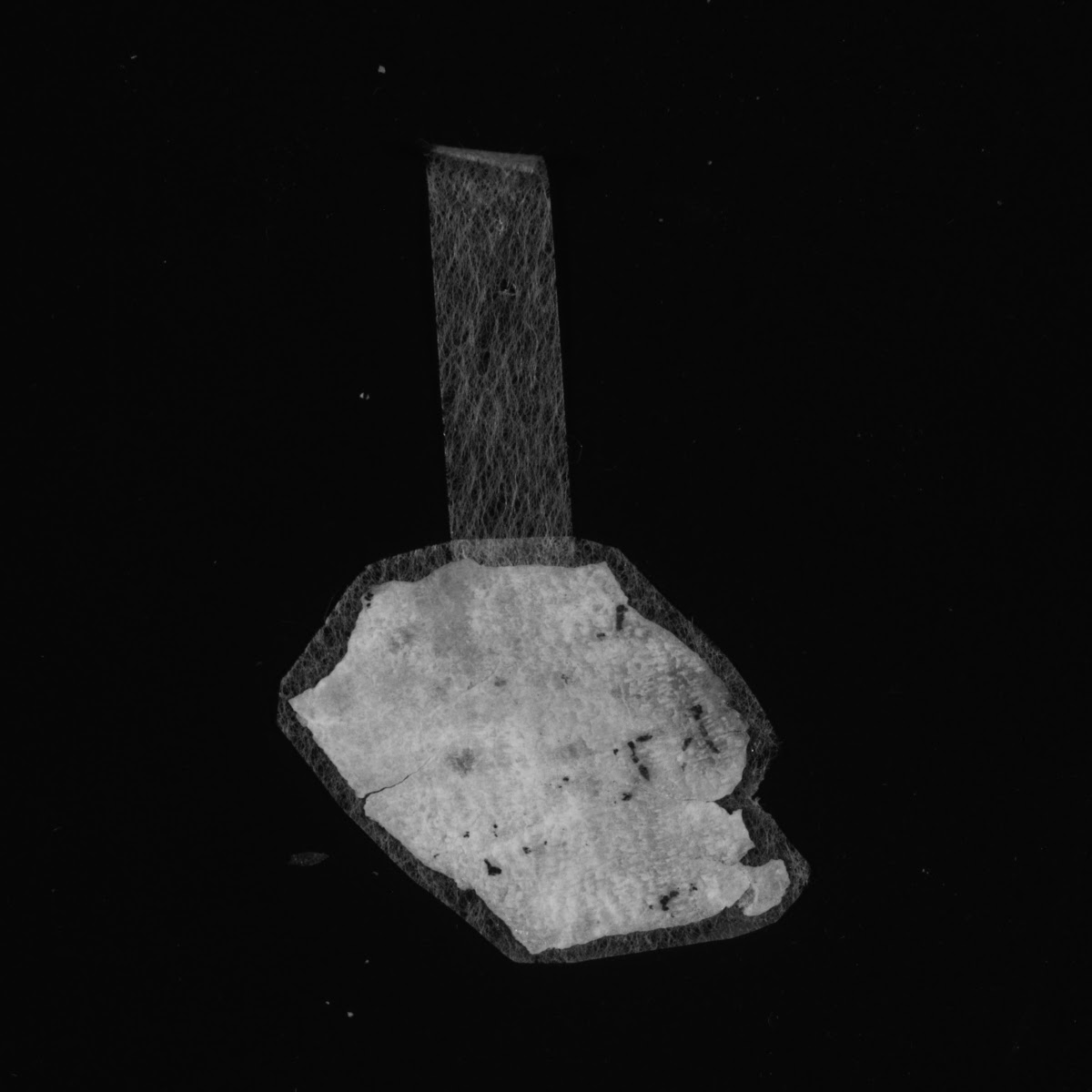 4Q LXXNumbers (Scan 2) showing Numbers 3:51 from Late 1st Century BC – Mid-1st Century AD found in Qumran, Cave 4, currently housed at Rockefeller Museum, Jerusalem