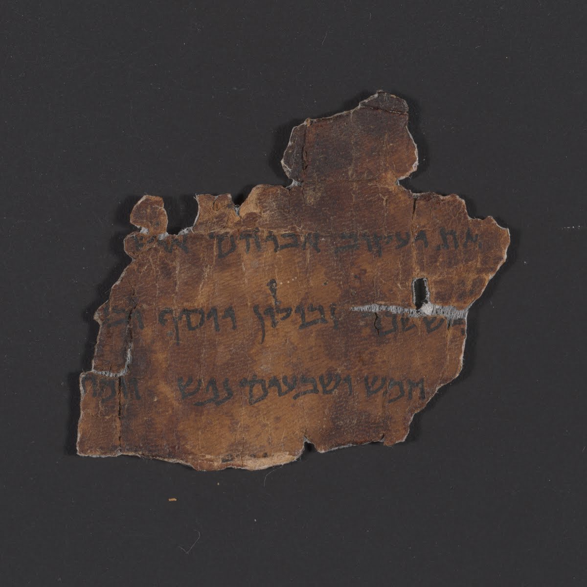 4QExodus b (Scan 1) showing Exodus 1:16 from Late 1st Century BC – Mid-1st Century AD found in Qumran, Cave 4, currently housed at Rockefeller Museum, Jerusalem