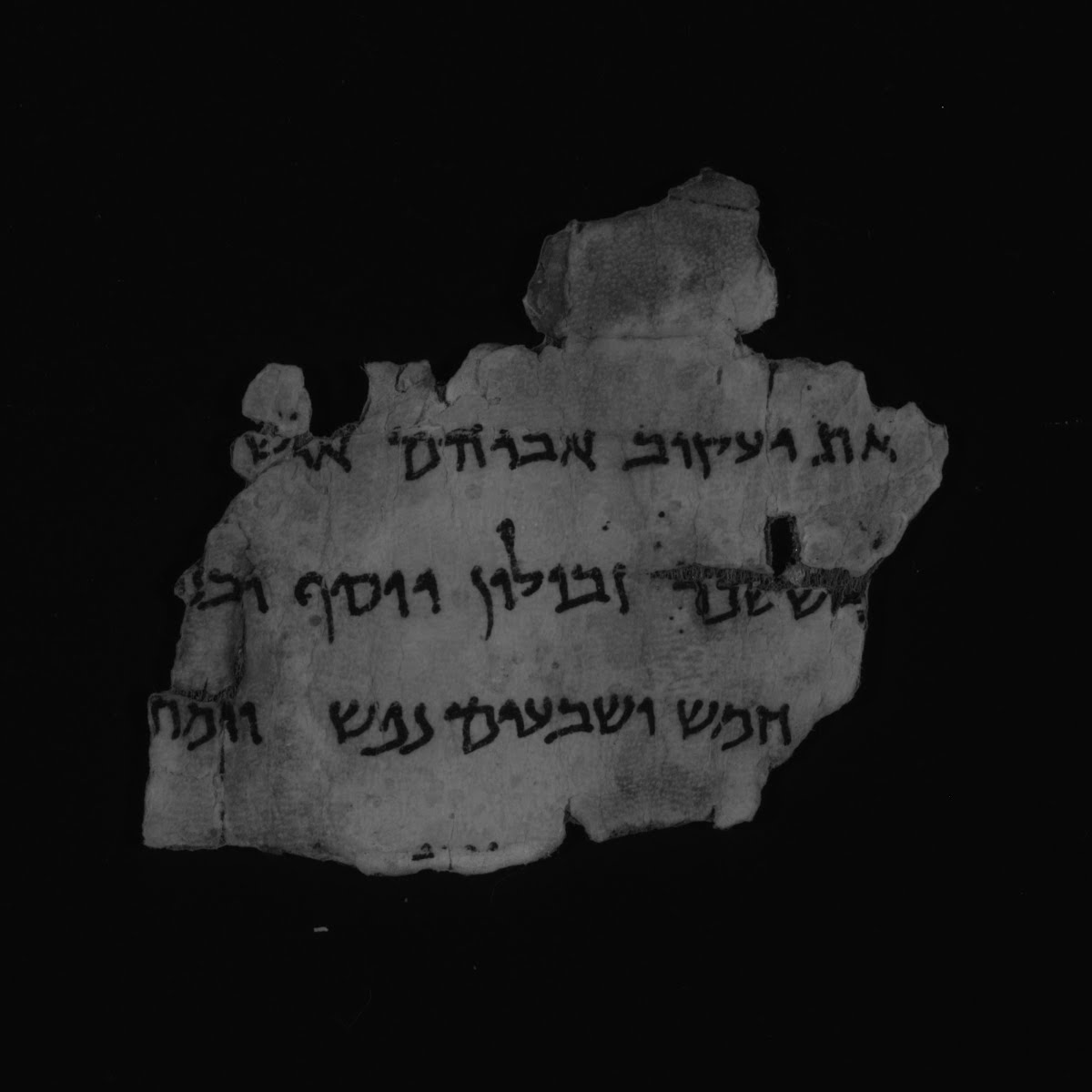 4QExodus b (Scan 3) showing Exodus 1:16 from Late 1st Century BC – Mid-1st Century AD found in Qumran, Cave 4, currently housed at Rockefeller Museum, Jerusalem
