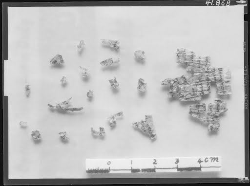 4Q Phylacteries F (Scan 1) showing Exodus 13:16 from Mid-1st Century BC - Early 1st Century AD found in Qumran, Cave 4, currently housed at Rockefeller Museum, Jerusalem