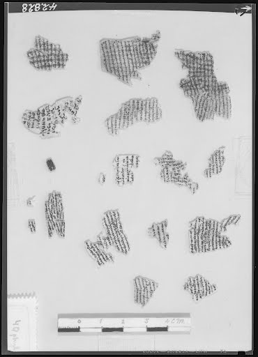 4Q Phylacteries H (Scan 2) showing Exodus 13:16 from Late 1st Century BC found in Qumran, Cave 4, currently housed at Rockefeller Museum, Jerusalem