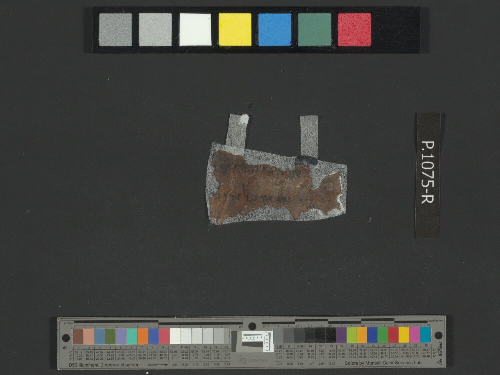 4QExod c showing Exodus 9:10 from Mid-to-Late 1st Century BC found in Qumran, Cave 4, currently housed at Rockefeller Museum, Jerusalem