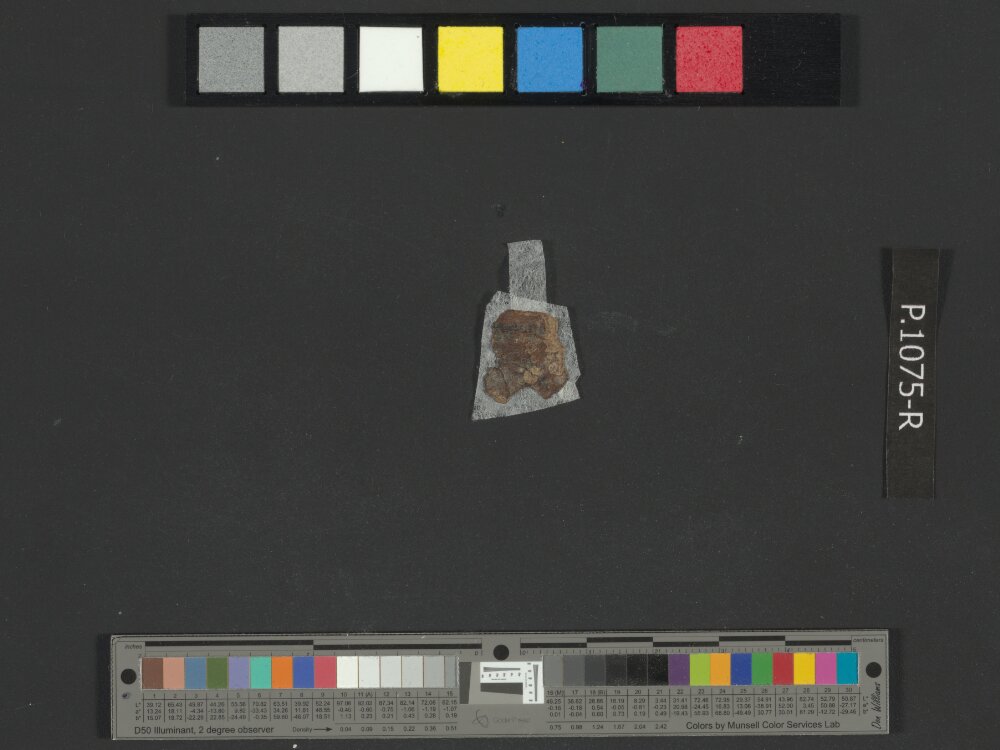 4QExod c showing Exodus 10:13 from Mid-to-Late 1st Century BC found in Qumran, Cave 4, currently housed at Rockefeller Museum, Jerusalem