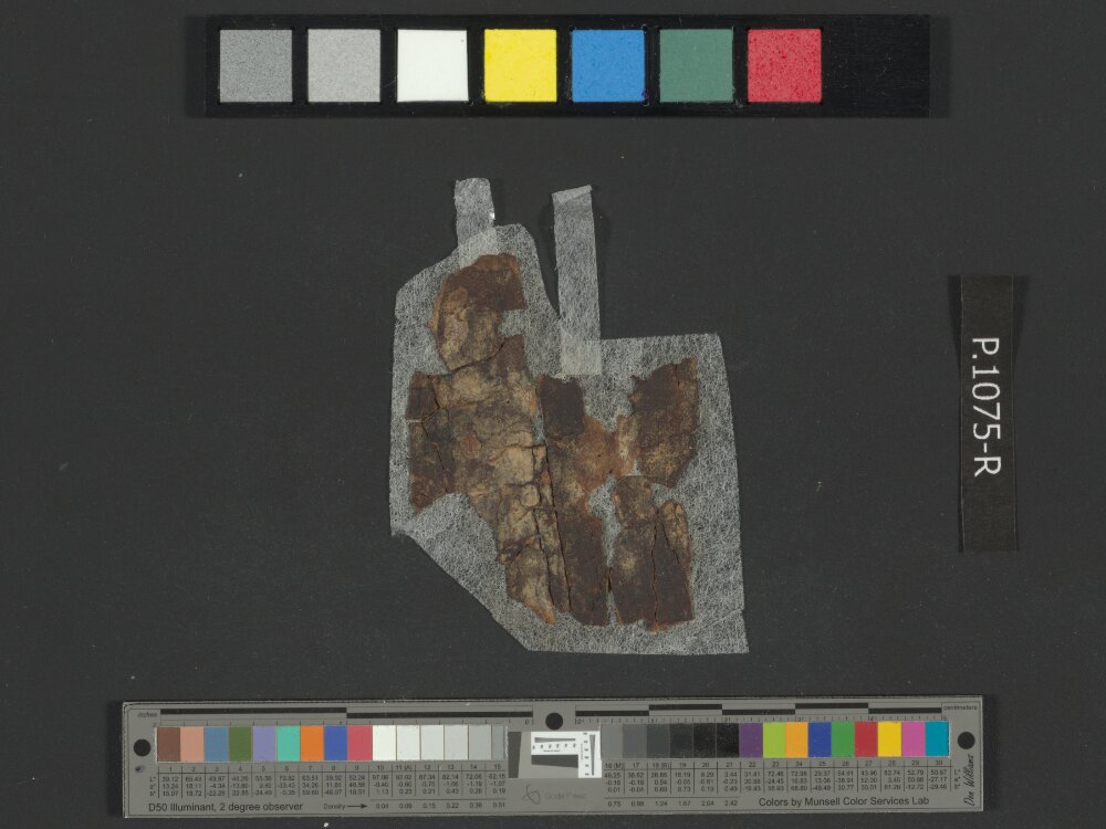 4QExod c showing Exodus 12:13 from Mid-to-Late 1st Century BC found in Qumran, Cave 4, currently housed at Rockefeller Museum, Jerusalem
