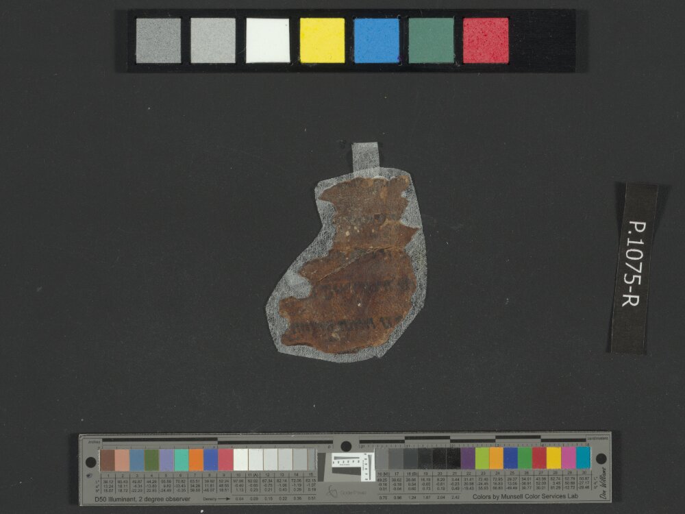 4QExod c showing Exodus 13:22 from Mid-to-Late 1st Century BC found in Qumran, Cave 4, currently housed at Rockefeller Museum, Jerusalem