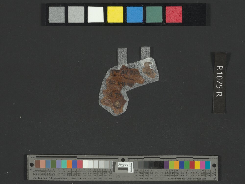 4QExod c showing Exodus 14:13 from Mid-to-Late 1st Century BC found in Qumran, Cave 4, currently housed at Rockefeller Museum, Jerusalem