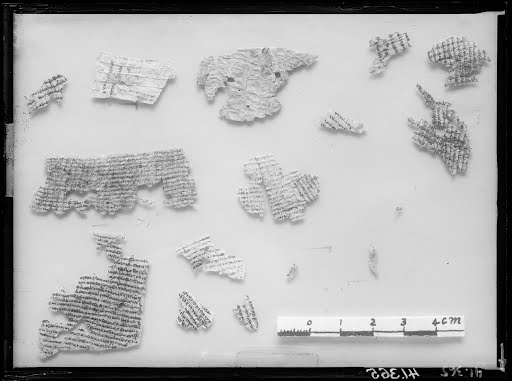 4Q Phylacteries P (Scan 5) showing Deuteronomy 11:21 from Hellenistic-Roman found in Qumran, Cave 4
