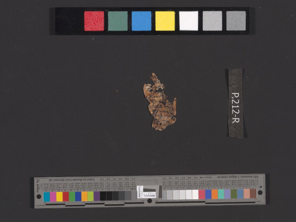 4QPhyl S showing Deuteronomy 11:21 from Hellenistic-Roman Period (c. Mid-2nd Century BC – Mid-1st Century AD) found in Qumran, Cave 4, currently housed at Rockefeller Museum, Jerusalem