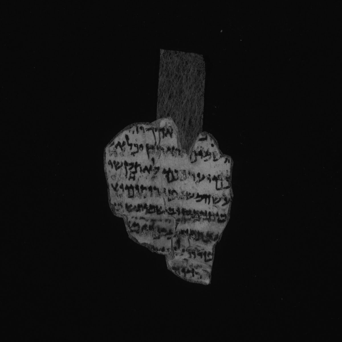 4Q Mezuzah B showing Deuteronomy 10:21 from Late 1st Century BC – Mid-1st Century AD found in Qumran, Cave 4, currently housed at Rockefeller Museum, Jerusalem