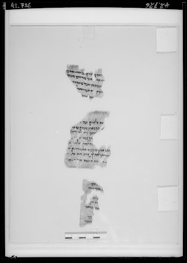 4Q Exodus e (Scan 3) showing Exodus 13:16 from Mid-2nd Century BC – Early 1st Century BC found in Qumran, Cave 4, currently housed at Rockefeller Museum, Jerusalem