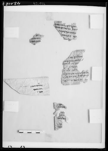4Q Exodus e (Scan 4) showing Exodus 13:16 from Mid-2nd Century BC – Early 1st Century BC found in Qumran, Cave 4, currently housed at Rockefeller Museum, Jerusalem
