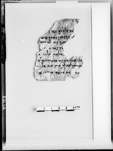 4Q Exodus e (Scan 5) showing Exodus 13:16 from Mid-2nd Century BC – Early 1st Century BC found in Qumran, Cave 4, currently housed at Rockefeller Museum, Jerusalem