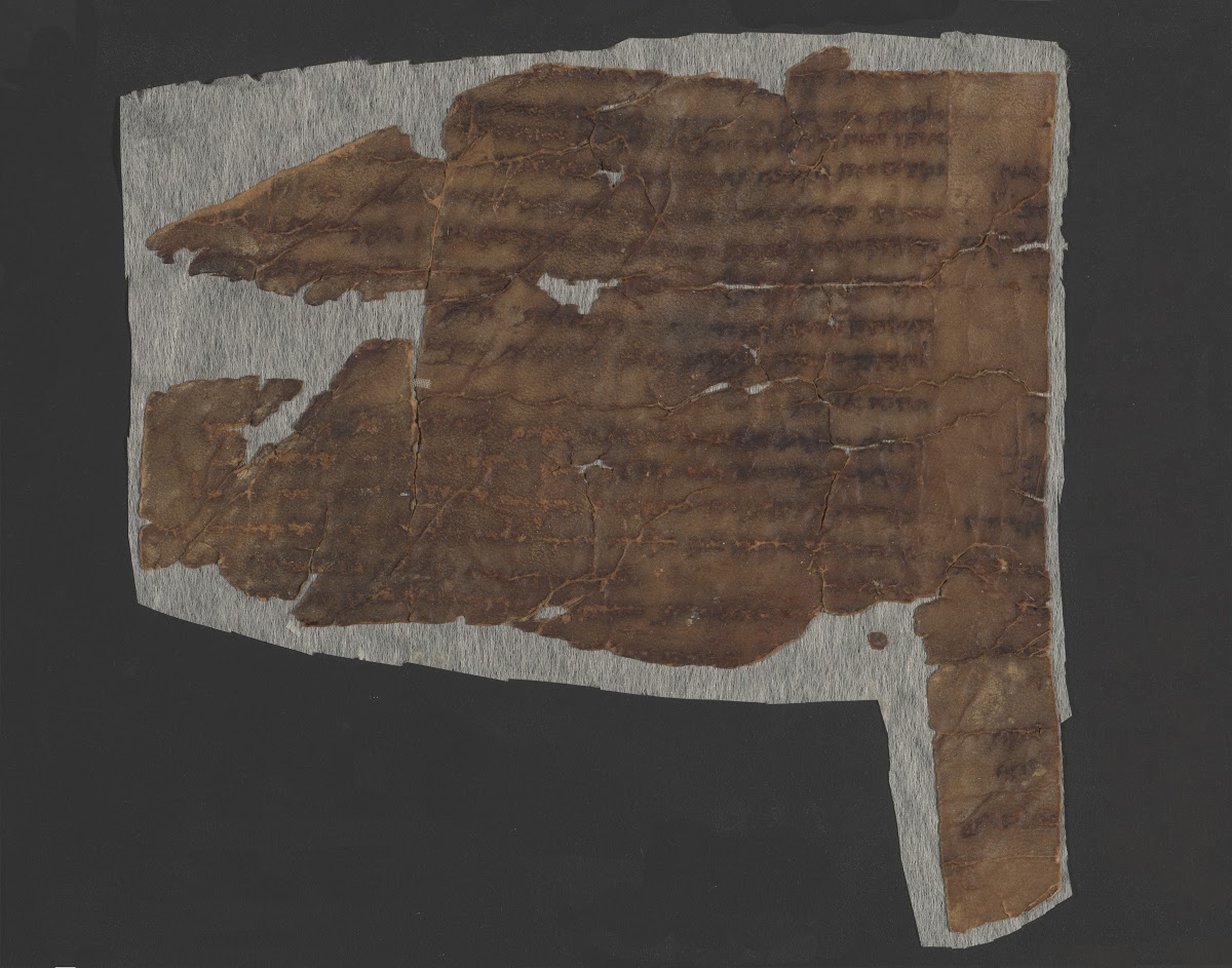 4QExod-Lev(f) showing Exodus 39:4 from Mid- to Late 3rd Century BC found in Qumran, Cave 4, currently housed at Rockefeller Museum, Jerusalem