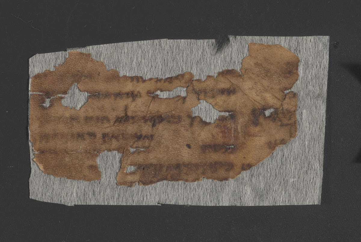 4QExod-Lev(f) showing Leviticus 2:1 from Mid- to Late 3rd Century BC found in Qumran, Cave 4, currently housed at Rockefeller Museum, Jerusalem