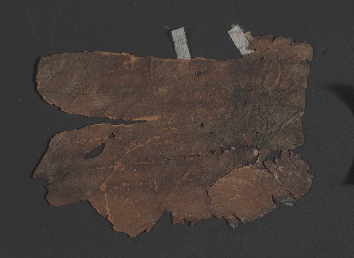 4QExod-Lev(f) showing Leviticus 1:13 from Mid- to Late 3rd Century BC found in Qumran, Cave 4, currently housed at Rockefeller Museum, Jerusalem