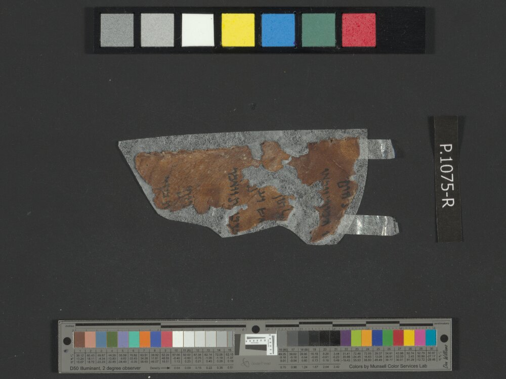 4QExodus g showing Exodus 14:21 from Mid-1st Century BC found in Qumran, Cave 4, currently housed at Rockefeller Museum, Jerusalem