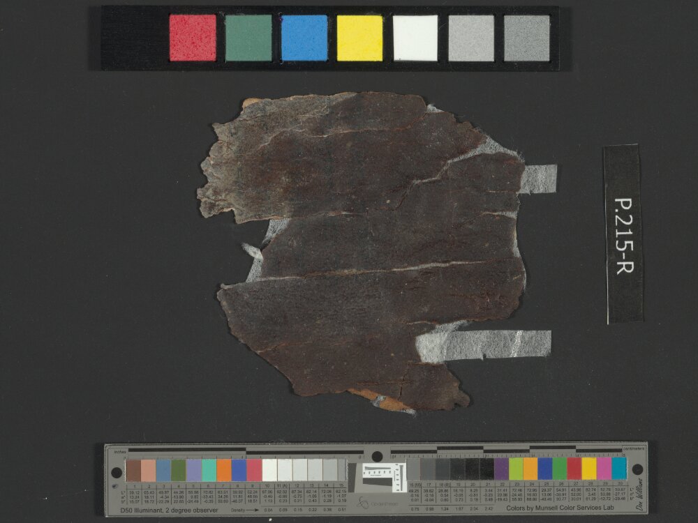 4QGenesis b showing Genesis 1:3 from Early to Mid-1st Century AD found in Qumran, Cave 4, currently housed at Rockefeller Museum, Jerusalem