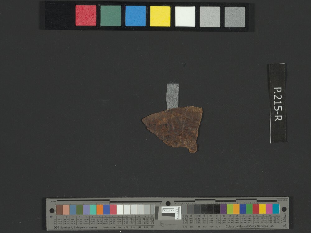 4QGenesis b showing Genesis 2:19 from Early to Mid-1st Century AD found in Qumran, Cave 4, currently housed at Rockefeller Museum, Jerusalem
