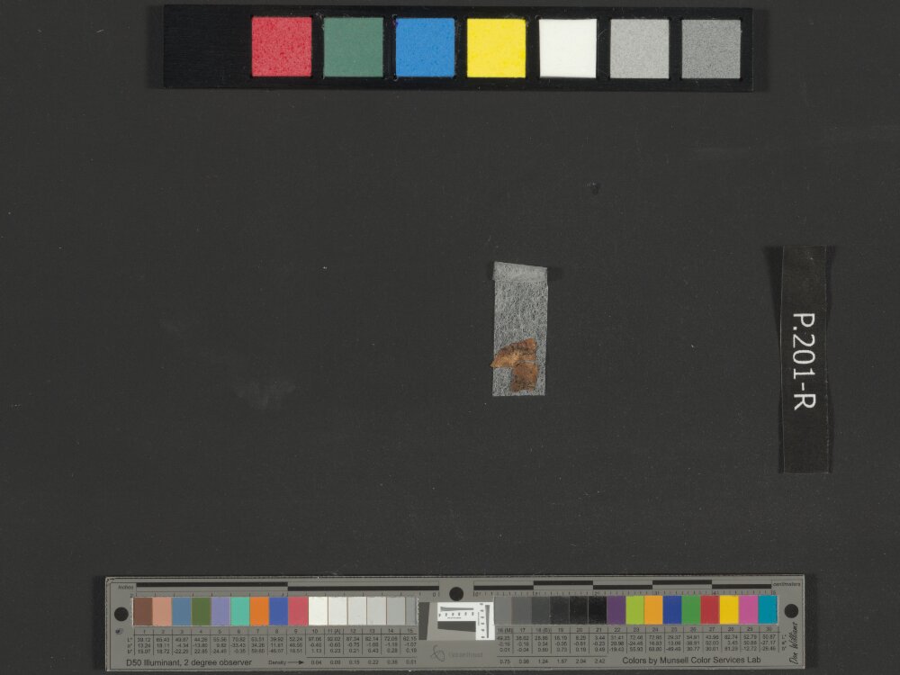 4QExodus j showing Exodus 7:29 from Early 1st Century AD found in Qumran, Cave 4, currently housed at Rockefeller Museum, Jerusalem