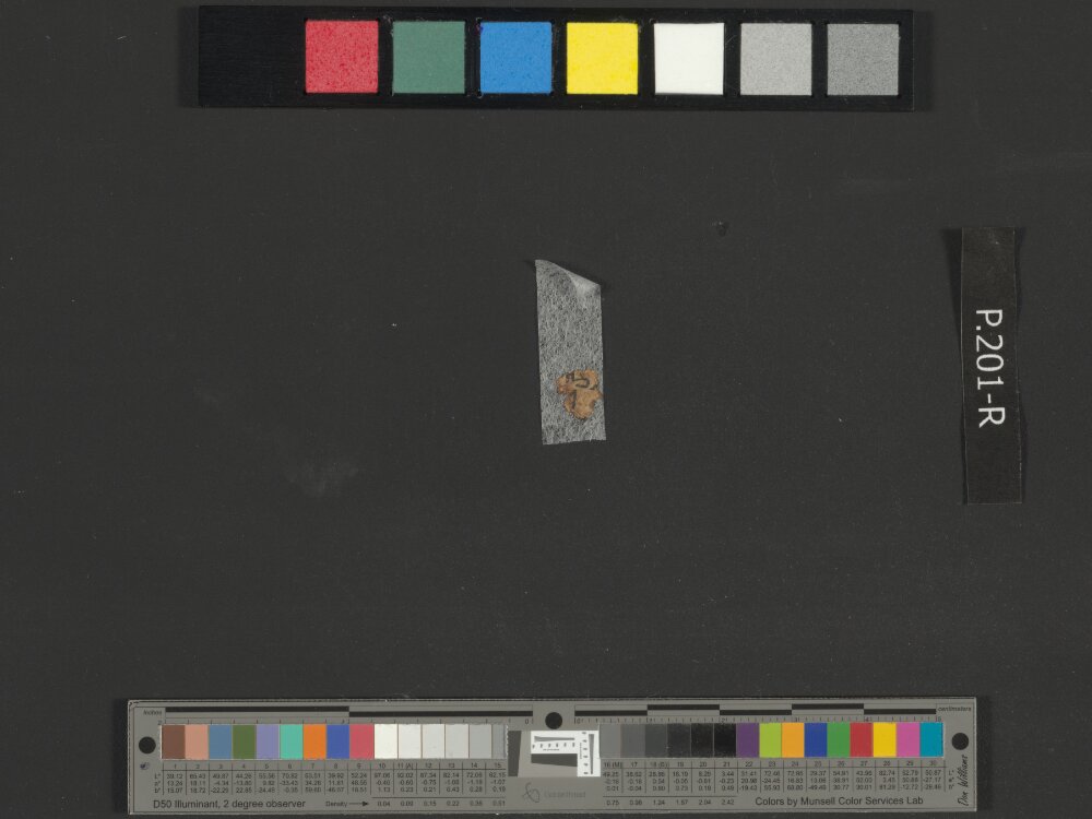 4QExodus j showing Exodus 7:27 from Early 1st Century AD found in Qumran, Cave 4, currently housed at Rockefeller Museum, Jerusalem