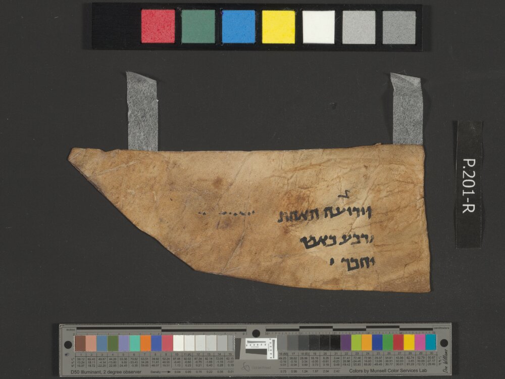 4QExod(k) showing Exodus 36:9 from Early to Mid-1st Century AD found in Qumran, Cave 4, currently housed at Rockefeller Museum, Jerusalem