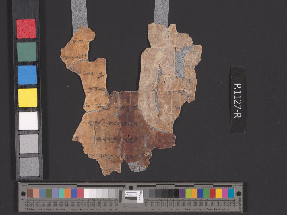 4QpaleoExodus m (Scan 6) showing Exodus 12:39 from Late Hasmonean Period (c. 100–25 BC) found in Qumran, Cave 4, currently housed at Rockefeller Museum, Jerusalem