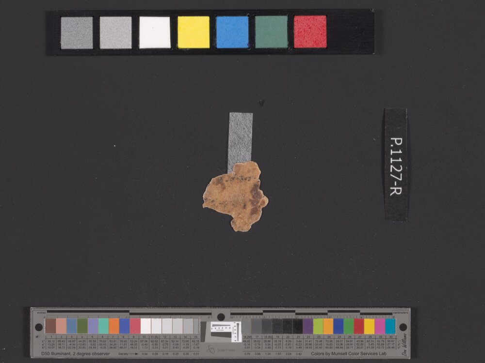 4QpaleoExodus m (Scan 8) showing Exodus 12:39 from Late Hasmonean Period (c. 100–25 BC) found in Qumran, Cave 4, currently housed at Rockefeller Museum, Jerusalem