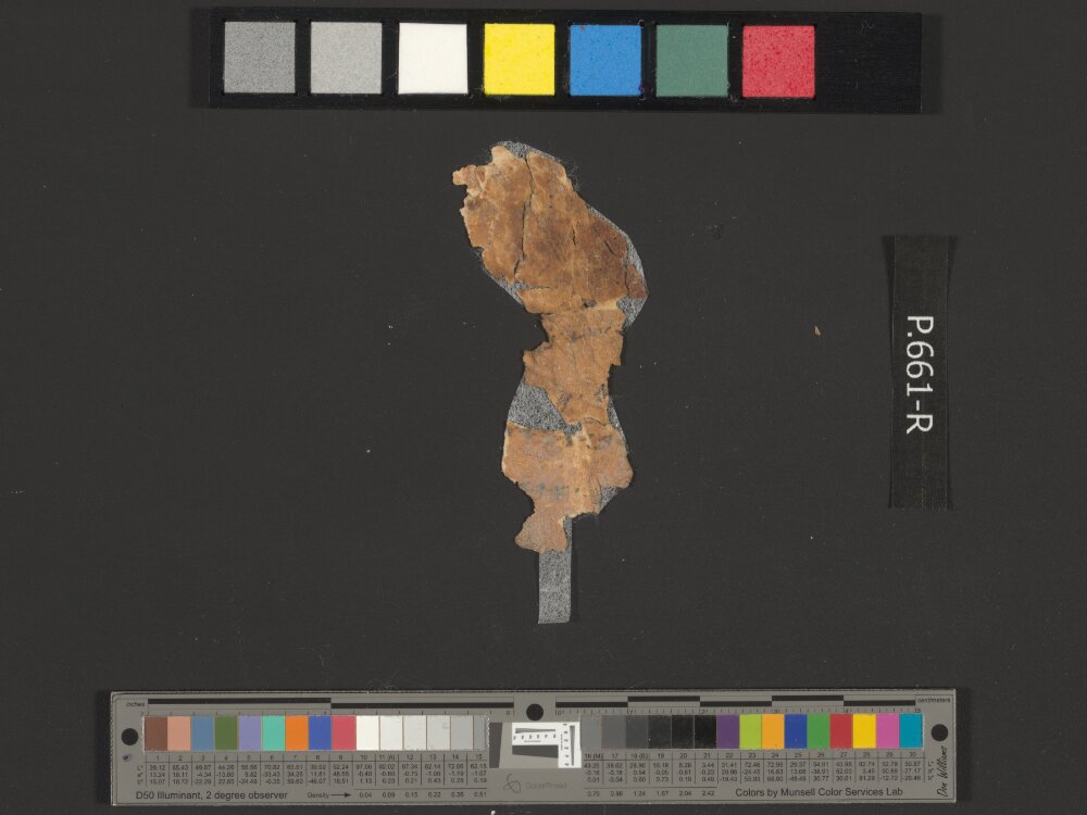 4QpaleoExodus m (Scan 7) showing Exodus 13:3 from Late Hasmonean Period (c. 100–25 BC) found in Qumran, Cave 4, currently housed at Rockefeller Museum, Jerusalem