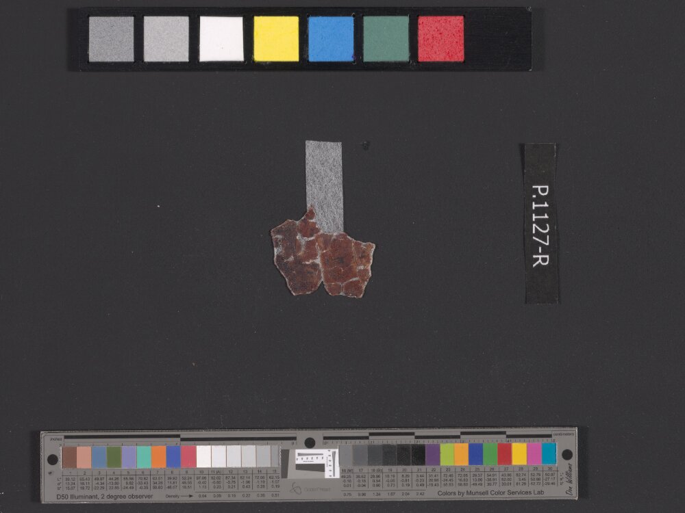 4QpaleoExodus m (Scan 1) showing Exodus 14:2 from Late Hasmonean Period (c. 100–25 BC) found in Qumran, Cave 4, currently housed at Rockefeller Museum, Jerusalem