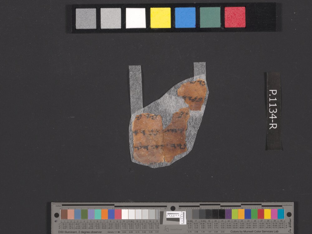 4QpaleoExodus m (Scan 2) showing Exodus 14:2 from Late Hasmonean Period (c. 100–25 BC) found in Qumran, Cave 4, currently housed at Rockefeller Museum, Jerusalem