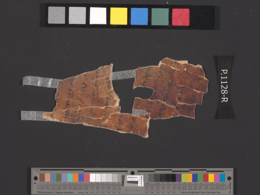 4QpaleoExodus m (Scan 3) showing Exodus 14:26 from Late Hasmonean Period (c. 100–25 BC) found in Qumran, Cave 4, currently housed at Rockefeller Museum, Jerusalem