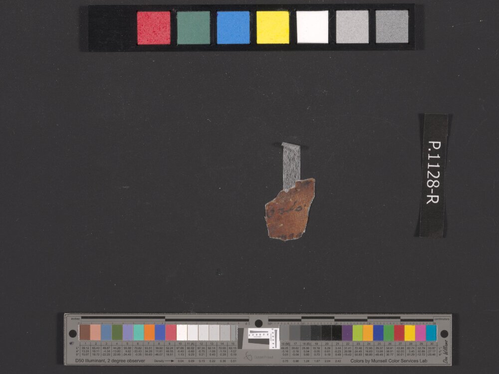 4QpaleoExodus m (Scan 6) showing Exodus 16:2 from Late Hasmonean Period (c. 100–25 BC) found in Qumran, Cave 4, currently housed at Rockefeller Museum, Jerusalem