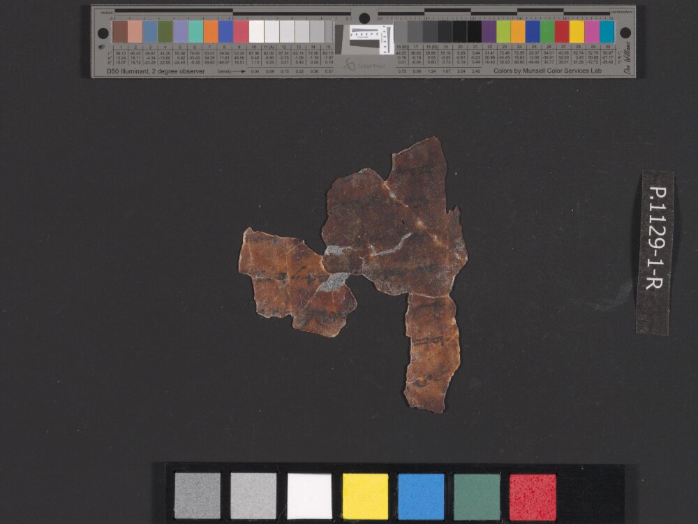 4QpaleoExodus m (Scan 8) showing Exodus 16:2 from Late Hasmonean Period (c. 100–25 BC) found in Qumran, Cave 4, currently housed at Rockefeller Museum, Jerusalem