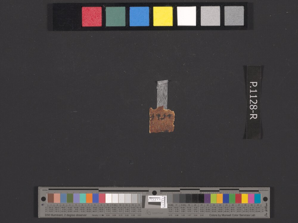 4QpaleoExodus m (Scan 10) showing Exodus 16:2 from Late Hasmonean Period (c. 100–25 BC) found in Qumran, Cave 4, currently housed at Rockefeller Museum, Jerusalem