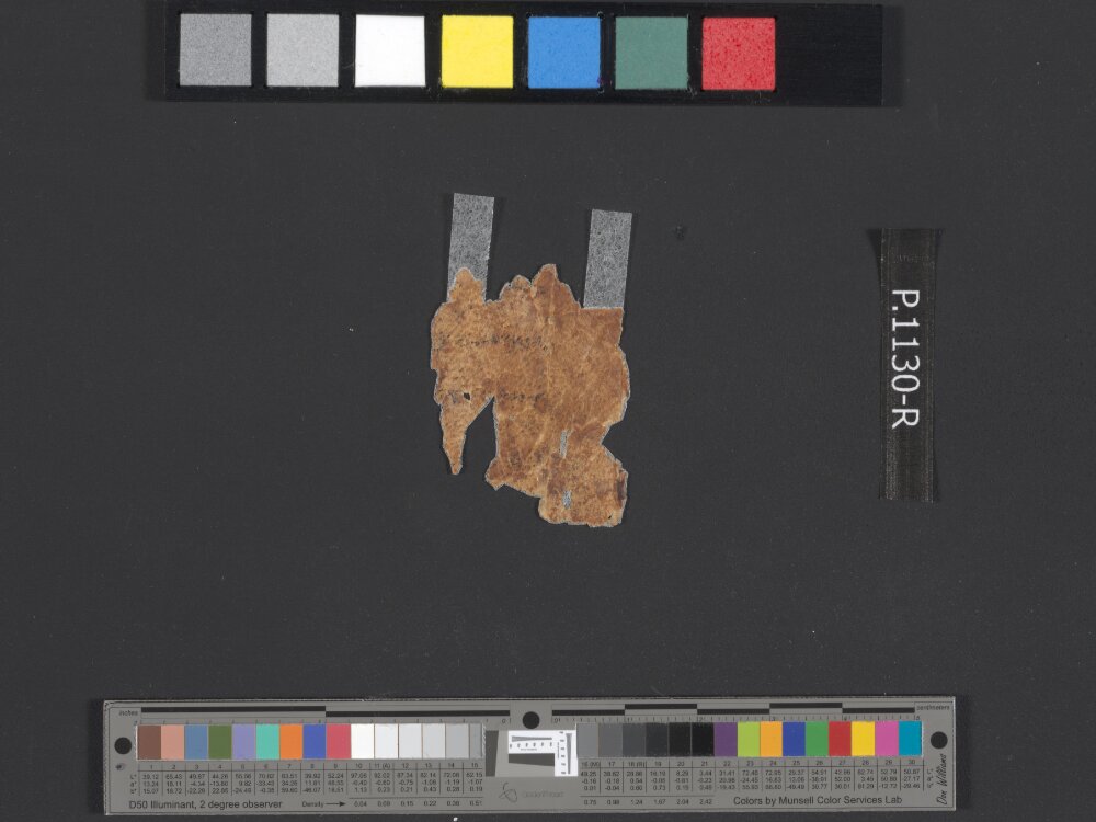 4QpaleoExodus m (Scan 7) showing Exodus 16:32 from Late Hasmonean Period (c. 100–25 BC) found in Qumran, Cave 4, currently housed at Rockefeller Museum, Jerusalem