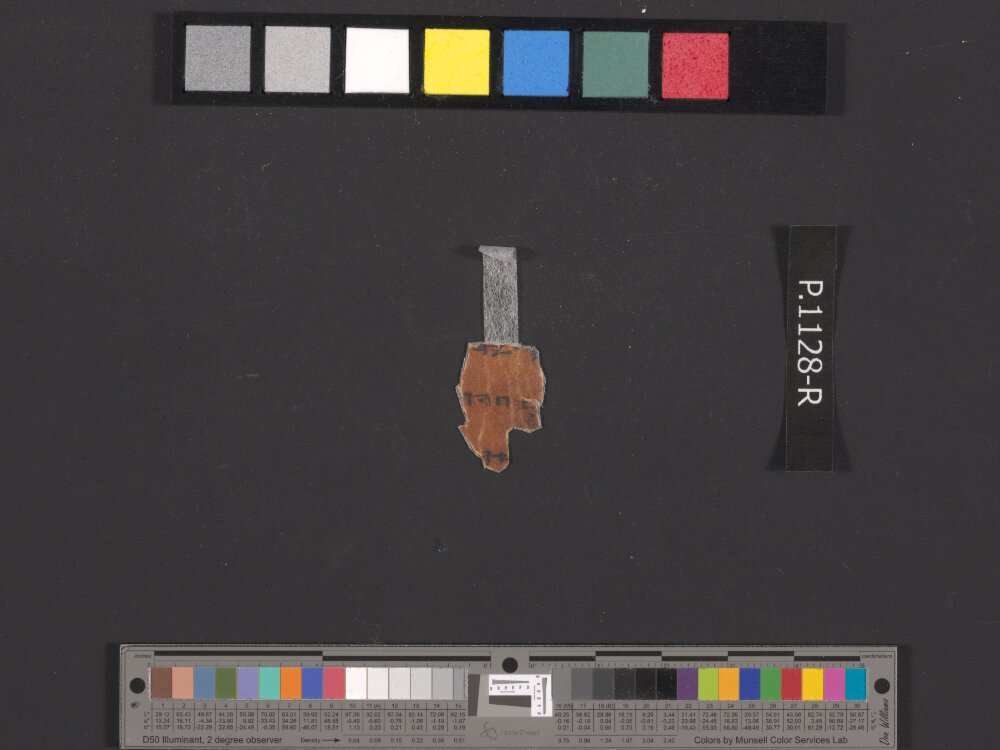 4QpaleoExodus m (Scan 2) showing Exodus 17:2 from Late Hasmonean Period (c. 100–25 BC) found in Qumran, Cave 4, currently housed at Rockefeller Museum, Jerusalem
