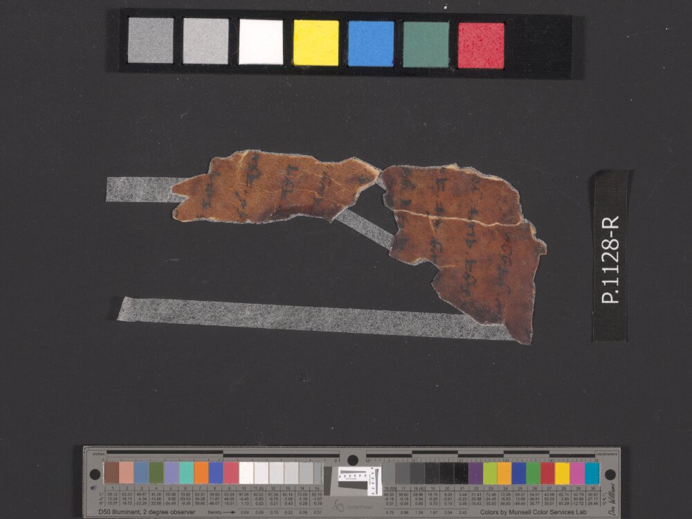 4QpaleoExodus m (Scan 7) showing Exodus 17:2 from Late Hasmonean Period (c. 100–25 BC) found in Qumran, Cave 4, currently housed at Rockefeller Museum, Jerusalem