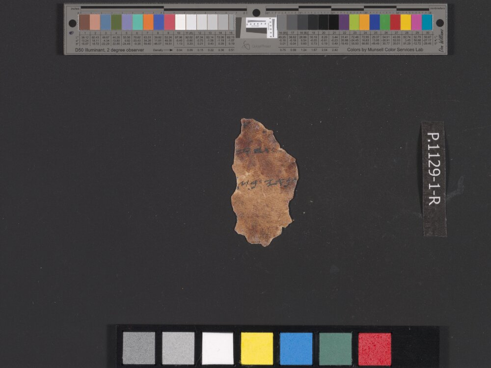 4QpaleoExodus m (Scan 7) showing Exodus 18:21 from Late Hasmonean Period (c. 100–25 BC) found in Qumran, Cave 4, currently housed at Rockefeller Museum, Jerusalem