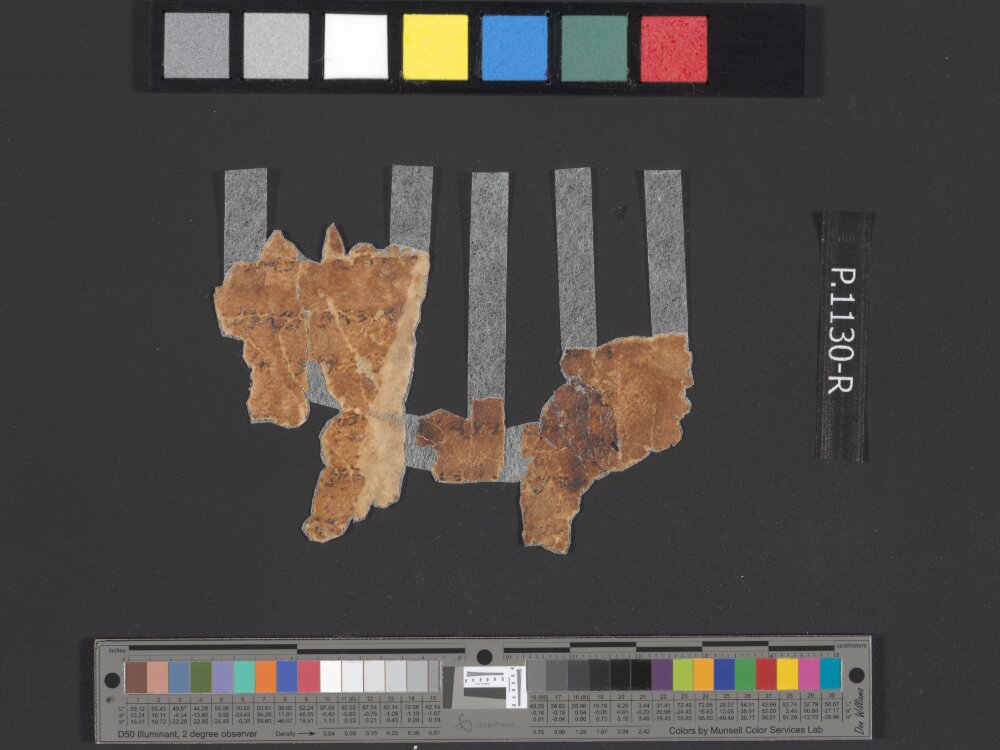 4QpaleoExodus m (Scan 14) showing Exodus 18:21 from Late Hasmonean Period (c. 100–25 BC) found in Qumran, Cave 4, currently housed at Rockefeller Museum, Jerusalem