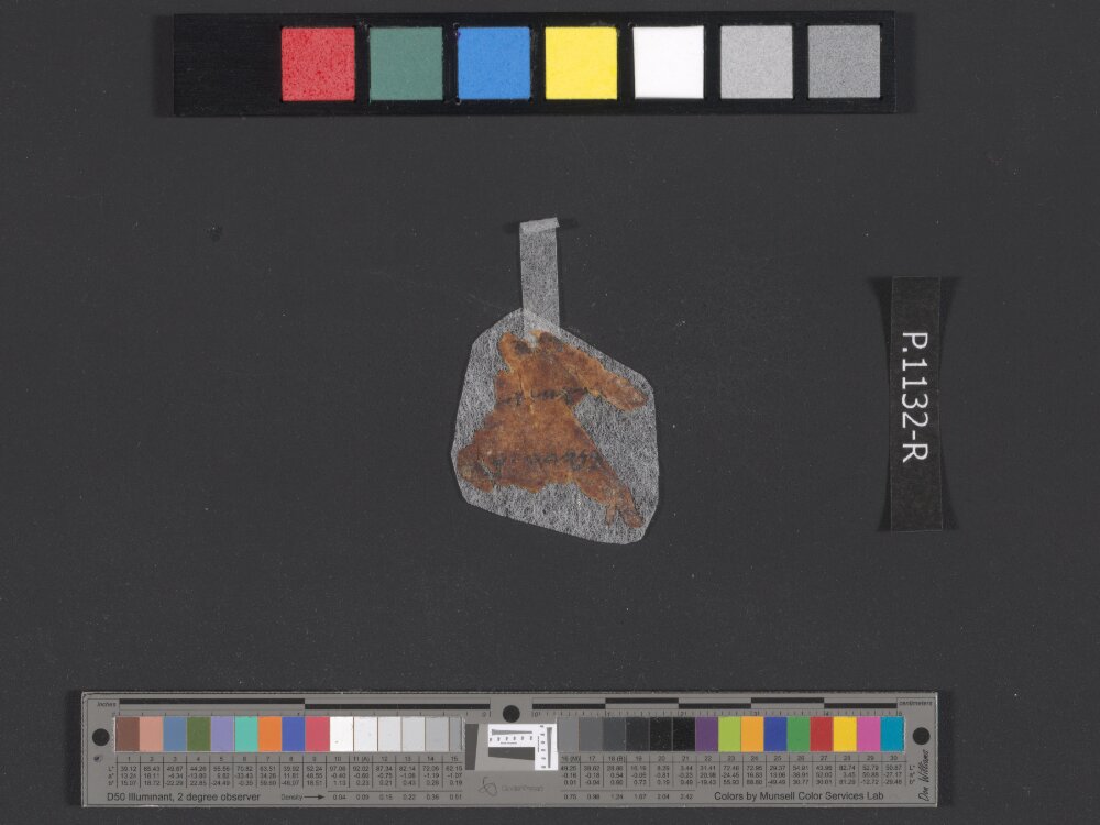 4QpaleoExodus m (Scan 18) showing Exodus 18:21 from Late Hasmonean Period (c. 100–25 BC) found in Qumran, Cave 4, currently housed at Rockefeller Museum, Jerusalem