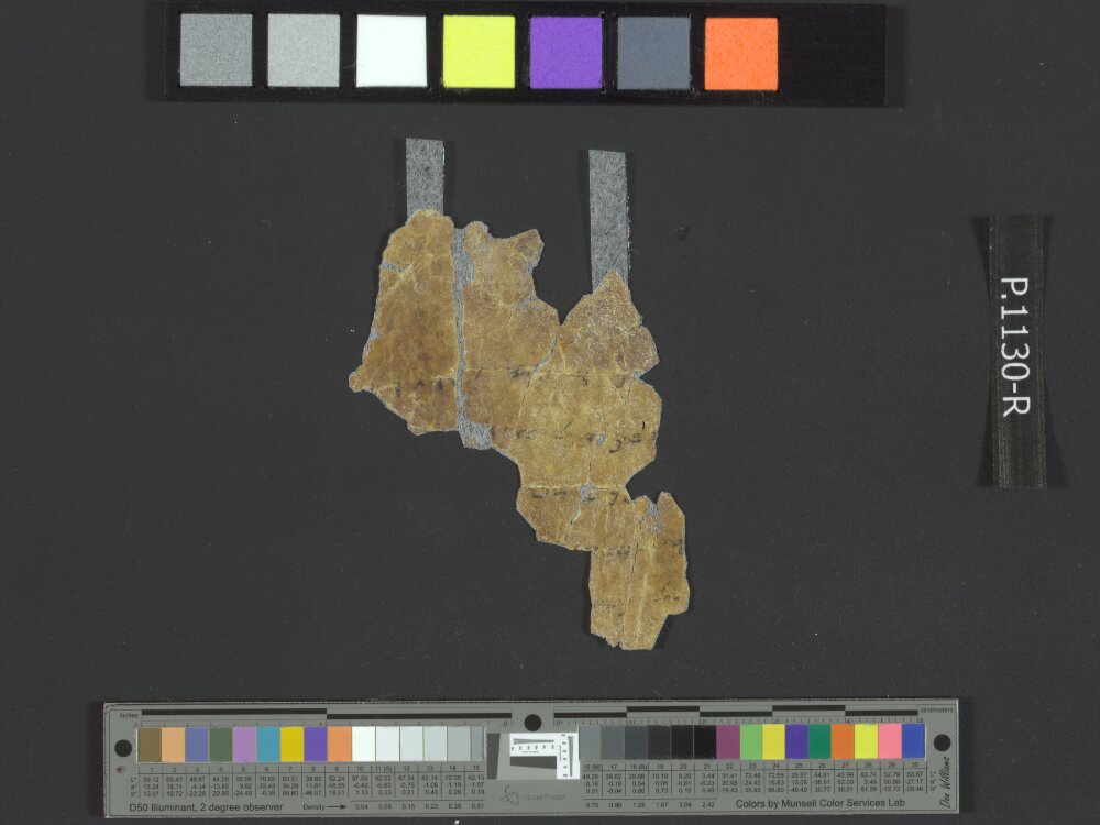 4QpaleoExodus m (Scan 23) showing Exodus 18:21 from Late Hasmonean Period (c. 100–25 BC) found in Qumran, Cave 4, currently housed at Rockefeller Museum, Jerusalem