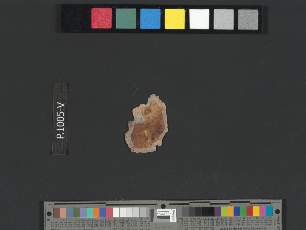 4QpaleoExodus m (Scan 6) showing Exodus 7:2 from Late Hasmonean Period (c. 100–25 BC) found in Qumran, Cave 4, currently housed at Rockefeller Museum, Jerusalem