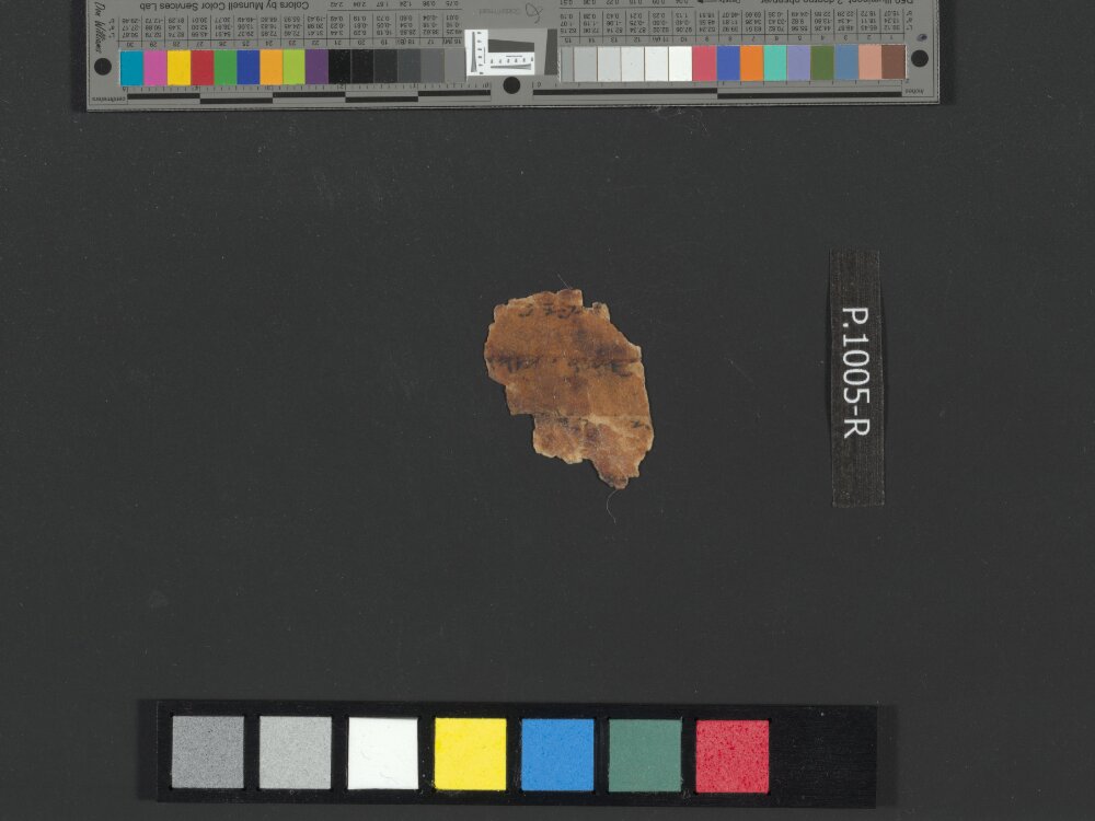 4QpaleoExodus m (Scan 10) showing Exodus 7:2 from Late Hasmonean Period (c. 100–25 BC) found in Qumran, Cave 4, currently housed at Rockefeller Museum, Jerusalem