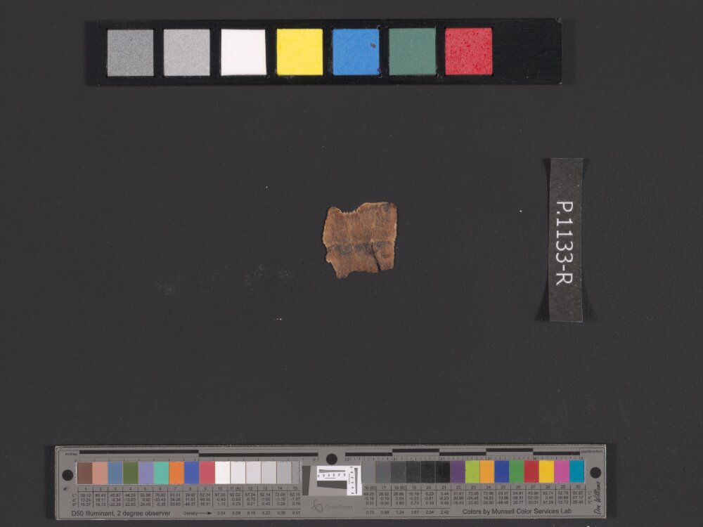 4QpaleoExodus m (Scan 4) showing Exodus 21:6 from Late Hasmonean Period (c. 100–25 BC) found in Qumran, Cave 4, currently housed at Rockefeller Museum, Jerusalem