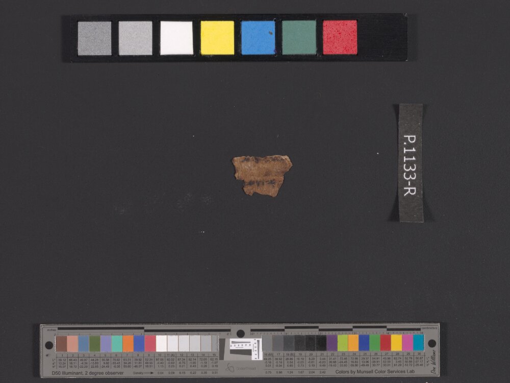 4QpaleoExodus m (Scan 8) showing Exodus 21:6 from Late Hasmonean Period (c. 100–25 BC) found in Qumran, Cave 4, currently housed at Rockefeller Museum, Jerusalem