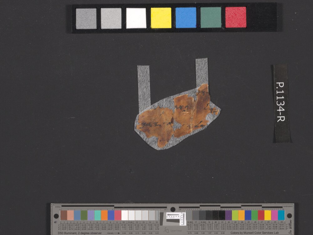 4QpaleoExodus m (Scan 16) showing Exodus 21:6 from Late Hasmonean Period (c. 100–25 BC) found in Qumran, Cave 4, currently housed at Rockefeller Museum, Jerusalem