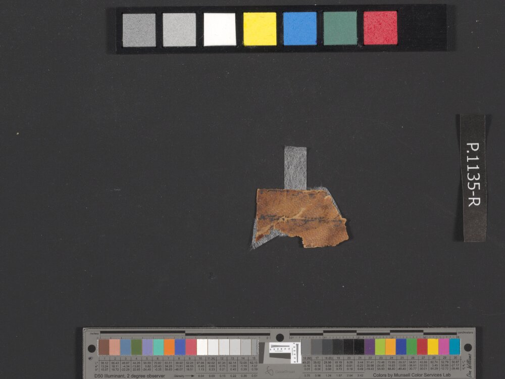 4QpaleoExodus m (Scan 5) showing Exodus 22:13 from Late Hasmonean Period (c. 100–25 BC) found in Qumran, Cave 4, currently housed at Rockefeller Museum, Jerusalem